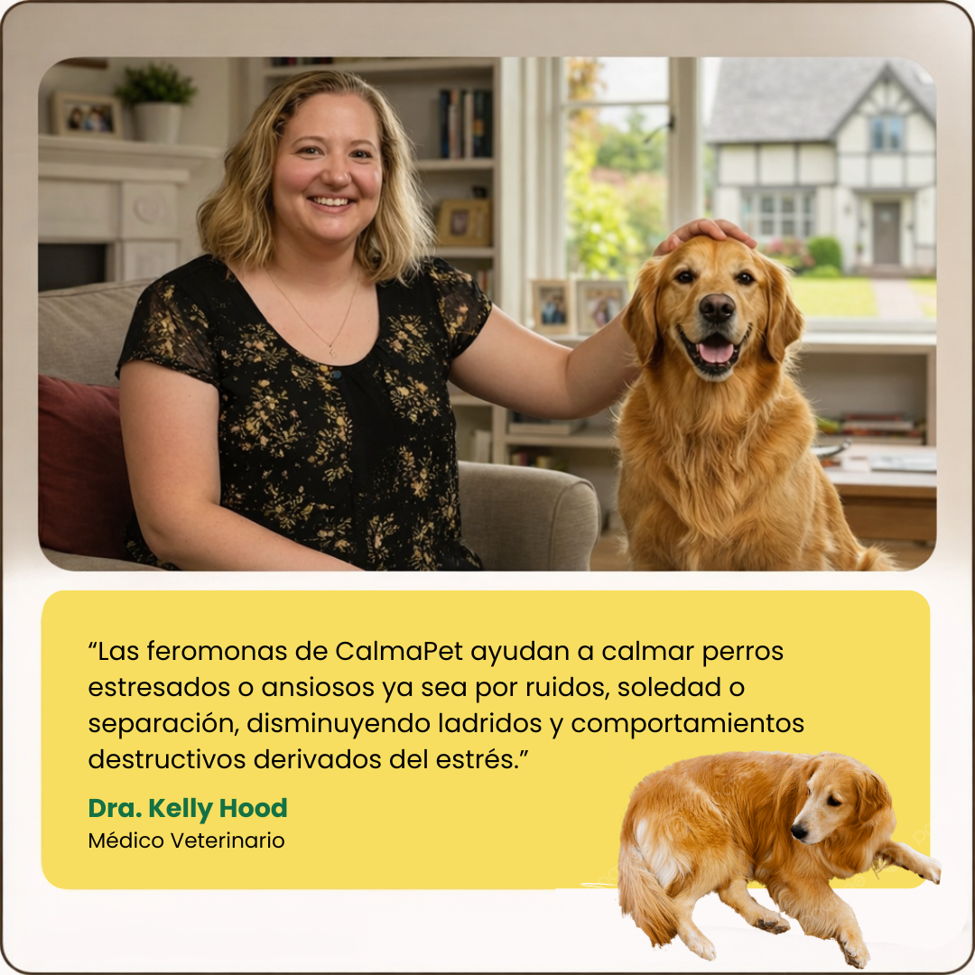 Kit Difusor Calmante para Perros