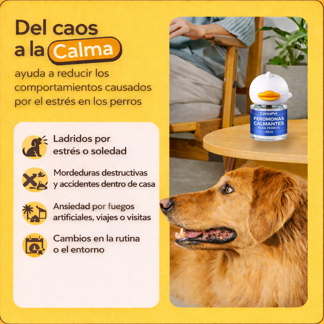 Kit Difusor Calmante para Perros