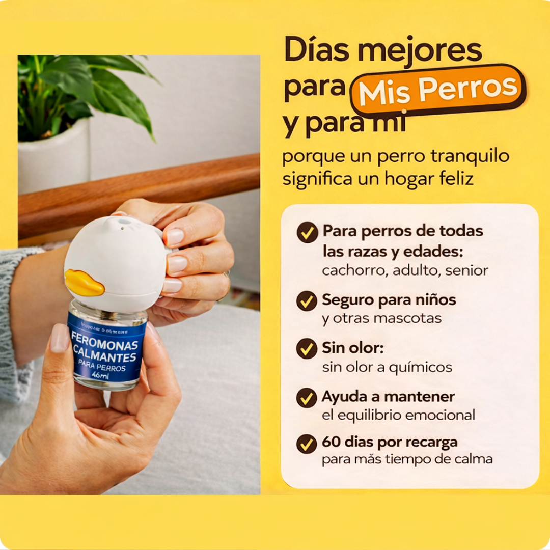 Kit Difusor Calmante para Perros